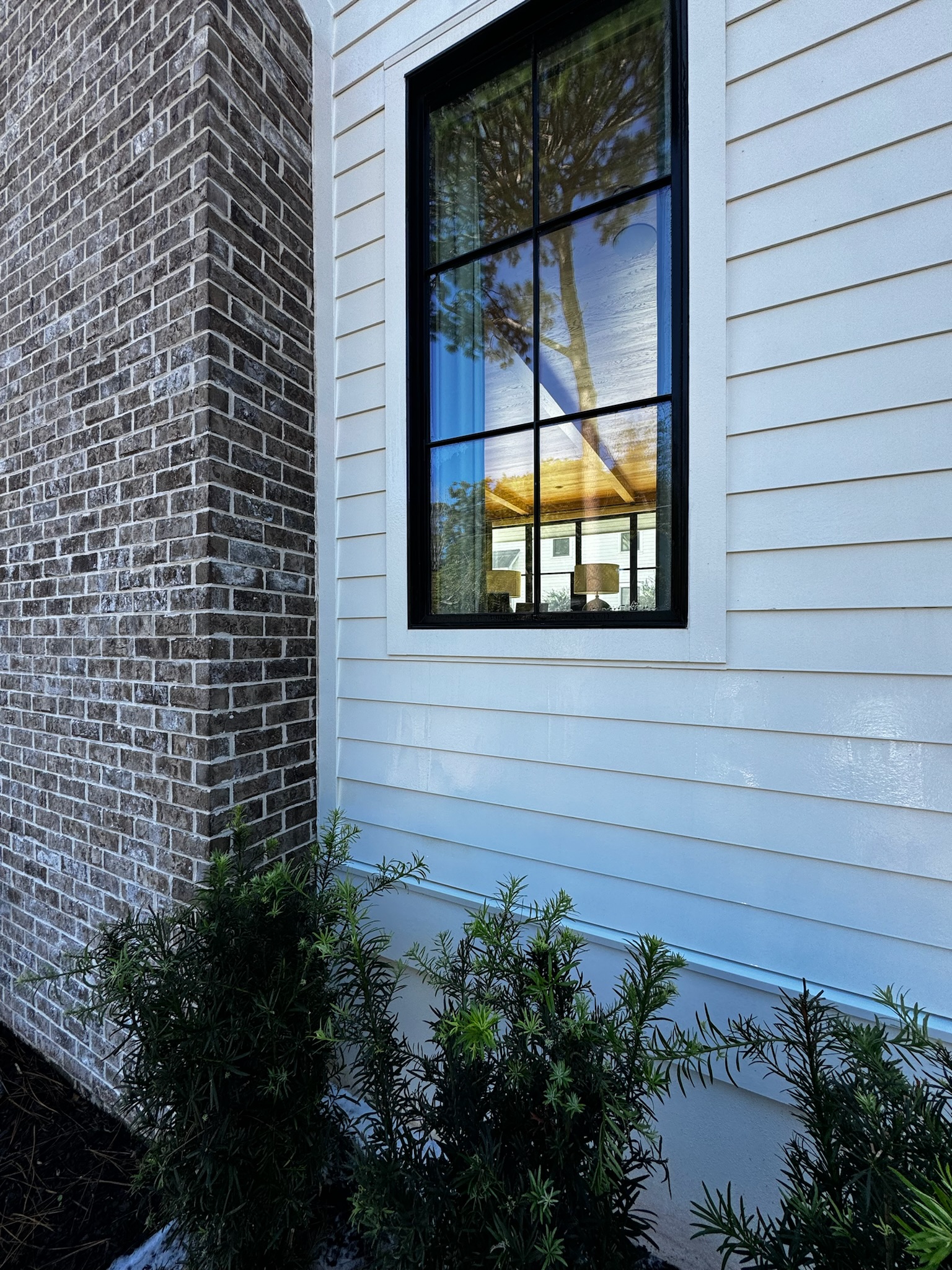 Window cleaning service